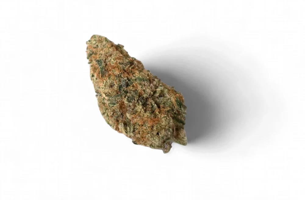 Close-up of premium THCA hemp flower bud available at Green Rx dispensary in Prairie du Sac, WI